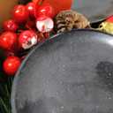 FORUP Christmas Centerpiece, Christmas Candle Holders, Christmas Tabletop Poinsettia Centerpiece with 3 Flameless Candle, Romantic Holiday Candelabrum for Home Party Christmas Table Mantel Decorations