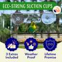 Window Bird Feeder by Natures Hangout - Award-Winning Clear Acrylic Bird Feeders for Outdoors, No Assembly, Strong Suction Cups, Bird Watching for Cats, Easy-to-Clean Birdhouse
