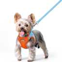 rabbitgoo Dog Harness Small Sized and Leash Set, Step in Soft Light Puppy Vest, Breathable Mesh Pet Harness, Reflective for Safe Easy Walking, Blue & Orange XS (XS (Chest: 13.3 - 15.5"))