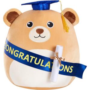 Graduation Bear Plush Pillow Stuffed Class of 2025 Gifts for Boys and Girls, Stuffed Animal Bear Pillow with Cap, Graduation Plush Animal Gift for Boys Girls for Preschool and College High School 13inch
