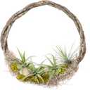 SuperMoss (22624) Savannah Grapevine Wreath Thick Vine – Handcrafted Rustic Grapevine Wreath for Front Door, Wall & Everyday Home Décor, 12 in, 3 pc