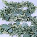 8.3' Long Faux Eucalyptus Greenery Garland - Silver Dollar Eucalyptus for Wedding Arch, Swag, Backdrop, Doorways, Mantel, Table Runner - Indoor/Outdoor