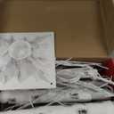 LIGHTSHARE LED Birch Tree Light Set - 4ft, 6ft, 8ft Trees with Warm White Lights - Indoor Outdoor Christmas Wedding Party Decorations (3-Pack)