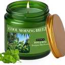 Eucalyptus & Mint Candles for Home Scented, 4oz Natural Soy Wax Jar Candle Gift for Men Women Stress Relief, Meditation, Yoga, Relaxing, 20H Long-Lasting Burns