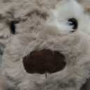 Bearington Pal Dog Stuffed Animal Plushies - 11" Realistic Dog Plush Stuffed Animals with Floppy Ears and Expressive Face - Soft Beige and Brown Lifelike Puppy Plush Toy Gift for Toddlers and Kids