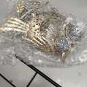 Solar Lights Outdoor Decor, Solar Owl Yard Decorations Outdoor, Garden Decorative, IP65 Waterproof, Gifts for Women Mom, for Yard Patio Lawn Pathway Landscape (Warm yellow - Owl)