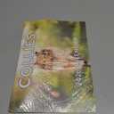 Collie Calendar 2026 Monthly Wall Calender | American Made In The USA