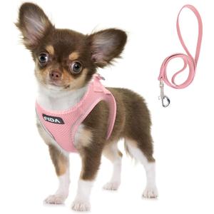 Fida Comfy Dog Harness with Leash, Soft Puppy Vest Escape Proof, Breathable Lightweight Soft Mesh, Adjustable Reflective Step-in Harness for Extra-Small Dogs (XS, Pink) (XS (Neck:12.2"-13"; Girth:14.2"-16.1"))