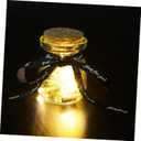 Mini Love Letter Capsule Bottle Led Message Wishing Paper Diy Drift Bottle Colorful Letter Envelope for Valentine's Day Random Color
