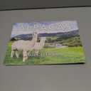 Alpaca Calendar 2026 Monthly Wall Calender 12 Month | American Made In The USA