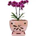 Grdthzey Orchid Pots with Holes Square Ceramic Orchid Planter Pots 5.5 inch (Pink)