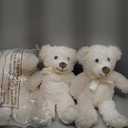 Skylety 10 Pcs Bears Bulk Stuffed Animal Plush Toys 10-14 Inches Birthday Party Favors(Beige)