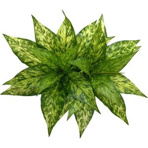 Artificial Agave Fake Plants, Faux Shrubs Grass Bushes Plant Plastic Flowers for Wedding Party Office Indoor Outdoor Room Yard Garden Greenery Leaves Decor Planter Filler Decoration Yellow 2 Pack