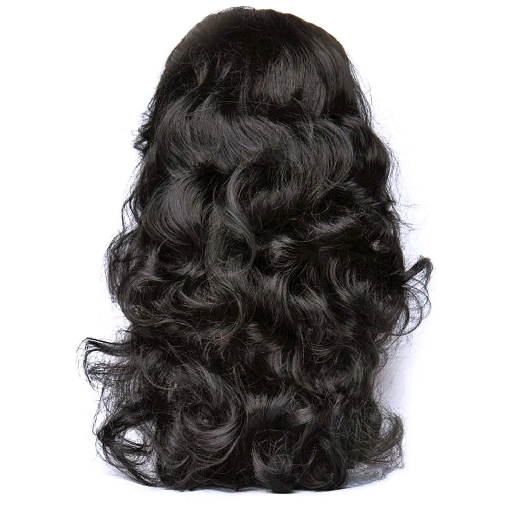 24Inch Body wave Wet and Wavy Lace Front Wigs Human Hair for Black Women Glueless Brazilian Virgin Wear and Go HD Curly Lace Frontal Wig Pre Plucked with Baby Hair (Natural Color)
