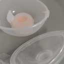 Nenesupply Handsfree Wearable Breastmilk Collection Cara Cups Caracups Compatible with Spectra S1 S2 9 Plus Breast Pumps 24mm Silicone Flanges Replacement for Spectra Pump Parts 19 21mm Inserts