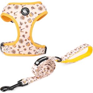 Dog Cat Harness and Leash Set, Puppia Soft Mesh Padded and Adjustable Puppy Vest Cute Dog Clothes Escape Proof Easy Walk Pet Accessories (Honeybee, M (Neck 13.4"-16.5"; Chest 17.7"-23"))