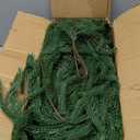 Hananona 4 Pcs 6 Ft Artificial Norfolk Pine Garlands, Real Touch Winter Pine Garland, Green Artificial Greenery Garland for Table, Mantle, Wall, Indoor, Outdoor Christmas Decorations (4, 6 FT)