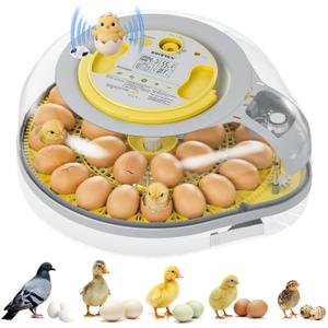 IBKINXX 26 Egg Incubator for Hatching Eggs with Smart Voice Guidance, 360 View with Automatic Temperature & Humidity Control, Auto Egg Turning & Built-in Egg Candler for Chicken, Duck, Goose & Quail