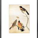 BKABOT 8.5x11 Picture Frame, Black Metal Photo Frames with HD Glass, Fits 5x7 with Mat or 8.5 x 11 without Mat, Display for Wall and Table, 1 Pack