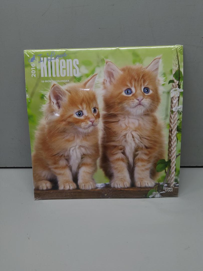 I Love Kittens, 18-Month 2016 Calendar