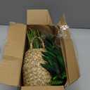 Der Rose Fake Palm Tree 28Inch Faux Plant Potted Tall Fake Plant with Hand-Woven Baskets Artificial Tree for Indoor Outdoor Home Office Bedroom Porch Balcony Decor