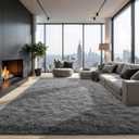 Zentavio 8x10 Area Rugs for Living Room Clearance Grey Rugs for Bedroom Large Big Carpet Fluffy Furry Soft Shag Aesthetic Plush High Pile Gray Rug for Nursery Kids Room Dorm