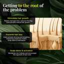 Batana Oil with Organic Rosemary & Biotin  Hair, Eyebrow & Eyelash Growth Serum  Nourishing Oil for Thicker, Fuller-Looking Hair, Brows & Lashes  Strengthens Roots & Conditions Dry Ends