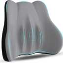 Lumbar Support Pillow, Memory Foam Lumbar Pillow for Lower Back Pain Relief, Back Support Pillow for Office Chair, Car Seat -Gray