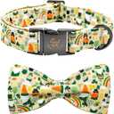 Elegant little tail St. Patrick's Dog Collar, Green Clover Print Sturdy Soft Dog Collars Pet Gift Puppy Bowtie Adjustable Pet Collars for Small Dogs (Small (Pack of 1), A: Gold Lucky)