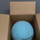 WILSON 2025 AVP Soft Play Volleyballs