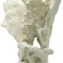Blue Ribbon EE-1765 Exotic Environments Lettuce Coral Aquarium Ornament, White