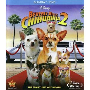 BH Chihuahua 2 (BD)