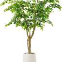 6.5FT Artificial Ficus Tree with White Planter, Moss and Pebbles | Faux Silk Tree with Lifelike Leaves and Realistic Trunk, Tall Fake Potted Plant, Home and Office Dcor, Indoor and Outdoor
