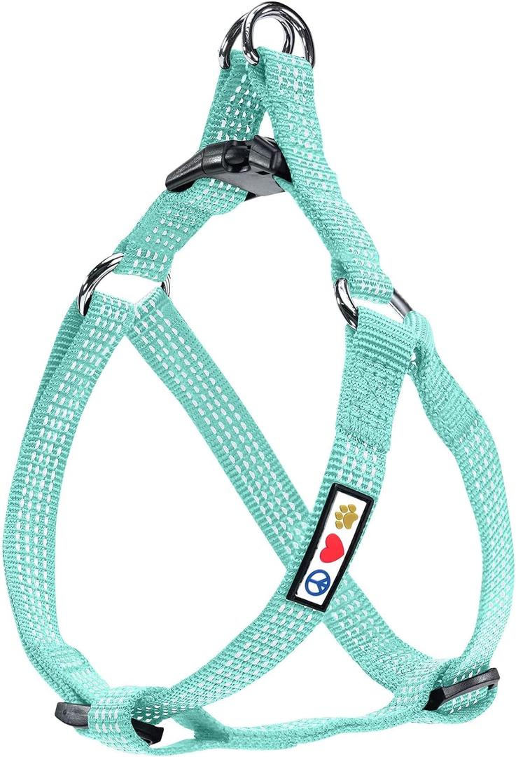 Pawtitas Dog Harness Small Sized Dog Teal Dog Harness Step in from a Senior Dog to a Puppy Harness Adjustable Reflective Dog Harness S Reflective Dog Vest, S