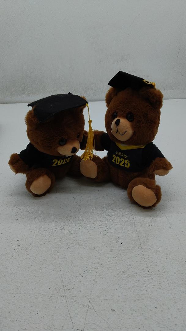 2-pk class of 2025 graduation bear with cap 10 in.