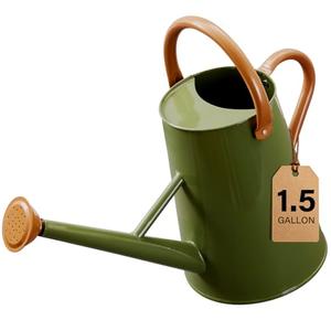 Watering Can for Outdoor&Indoor Plants，1.5 Gallon（5.7L） Metal Watering Can with with Removable Spout，Large Galvanized Steel Garden Flower Water Can Watering Pot with 2 Handles,Dark Green