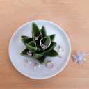 PUDDING CABIN Aloe Ring Holder,Cactus Ring Dish,Jewelry Holder Trinket Tray for Rings Earrings Necklace Organizer,Bridesmaid Christmas Birthday Gift for Women Girls