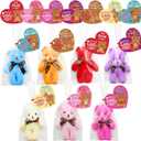 28 Pack Valentines Day Gifts Cards with Bears Plush Toys, Mini Stuffed Animals with Valentine's Greeting Cards for Kids Classrom School Exchange Prize Party Favors(Heart Cards-2)