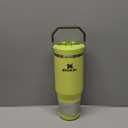 STANLEY IceFlow 2.0 Flip Straw Tumbler with Handle 30 oz | Twist On Lid and Flip Up Straw | Leakproof Water Bottle | Insulated Stainless Steel | BPA-Free | Prickly Pear