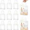 MAQIHAN 10 PCS Clear Goodie Bags with Handles - Plastic Party Favor Bag Reusable Transparent PVC Totes for Christmas Easter Valentine Wedding and Birthday(Medium Size 6.7 x 9 Inch)