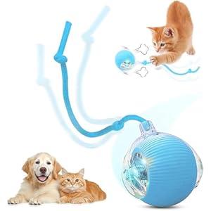 SilveWillo Interactive Electric Automatic Rolling Moving USB Rechargeable Self Activated Play Stimulation Toy Smart Chase Teaser Ball with Speedy Tail Rope for Bored Adult Indoor Cats and Dogs, Blue