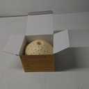 2 Packs Flea Traps for Inside Your Home, with 12 Sticky Discs & 4 LED Bulbs, Friendly to Pets& Kids, Indoor Bed Bug Flea Light Trap Pest Control for Home