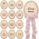14 Pcs Wooden Monthly Baby Milestone with Ribbon Monthly Milestone Wood Discs Photo Props for Newborn Baby Girl Boy Baby Shower Gifts(Pink)