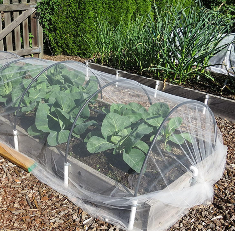 Garden Netting, Jevrench Durable Ultra Fine Garden Netting, Garden Plant Cover Row Cover Makes Plants, Vegetables, Fruits, and Flowers Grow Better (4ft x 25ft), 0.027 in