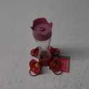 Perky-Pet Hummingbird 8 oz. Glass Nectar Feeder 4 Ports - Total Qty: 2