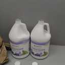 Ginger Lily Farms Botanicals Hand Soap, 128oz/4pk, Lavender Chamomile