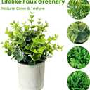 Artificial Potted Plants Small Faux Plants for Shelves, Lifelike Fake Indoor Plants with Cement Pots for Office, Bookshelf & Home Decor