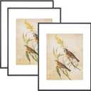 11x14 Picture Frame Set of 3, Black Modern Aluminum Metal Photo Frame with HD Glass, Fits 8x10 with Mat or 11 x 14 without Mat, Vertical and Horizontal Wall Mounting