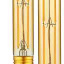 HuNanAoTe si T10 Dimmable LED Tubular Bulb, Amber Long Tube Edison Light Retro Bulb, 6W, 60W Equivalent, Warm White 2700K, E26 Medium Base, Pendant Lighting Wall Sconces,Vanity 2 Pack