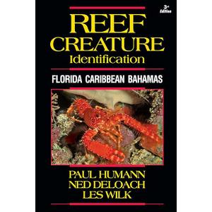 Reef Creature Identification - Florida Caribbean Bahamas - 3rd Edition (Reef Set (New World))
